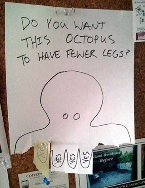 Do you want this octopus to have fewer legs? Clever!