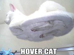 180