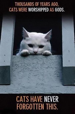 180