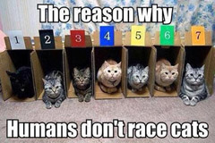 180