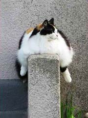 180